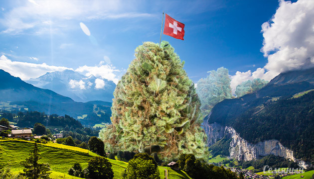 В Швейцарии начнут легально продавать каннабис