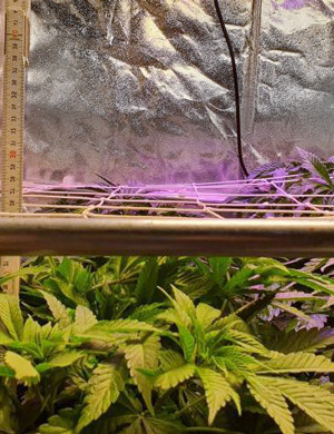 Заполненное пространство под сеткой