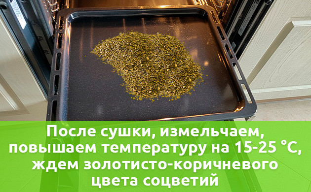 Измельченный каннабис помещается в духовку