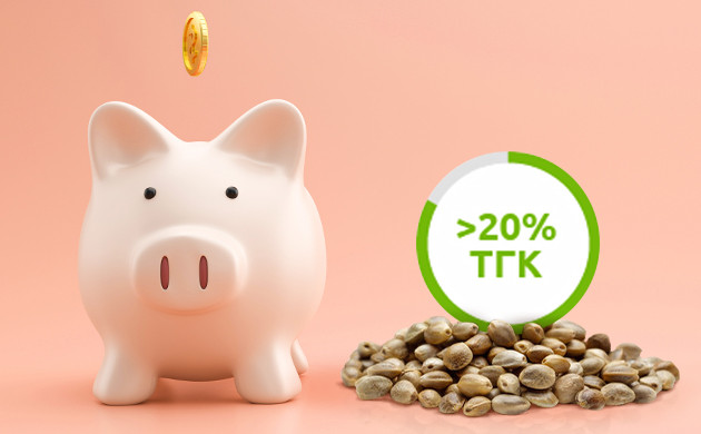 Недорогие и мощные семена конопли Больше 20 ТГК