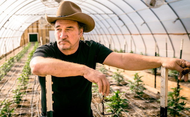 Любимое дело Джеймса Белуши