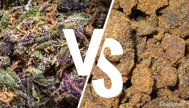 Основные отличия марихуаны от хеша