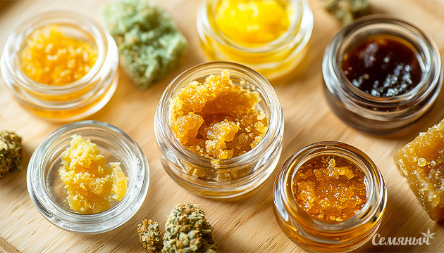 Поводы выбрать концентраты вместо шишек