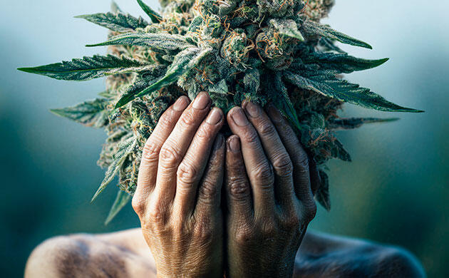 Каннабис при посттравматическом стрессовом расстройстве