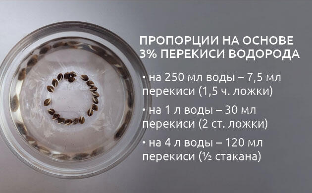 Дозировка перекиси водорода для проращивания семян каннабиса