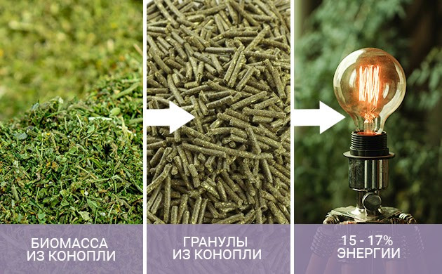 Топливо из конопли