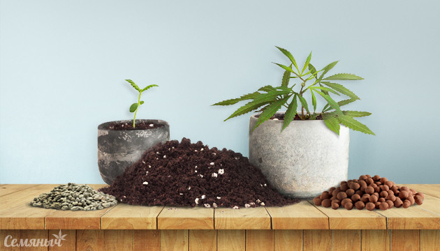 Грунт для конопли