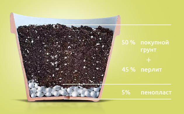 Рецепт почвосмеси из покупного грунта 