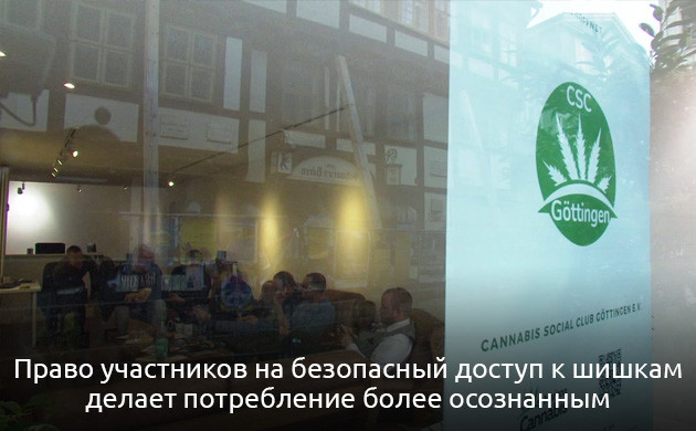 Социальный подход к легализации марихуаны