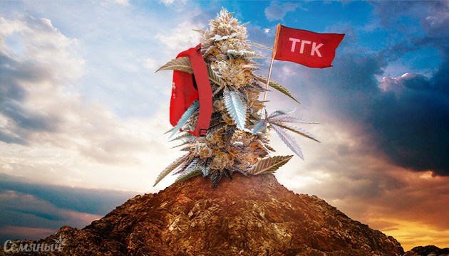 Индика с высоким уровнем ТКГ