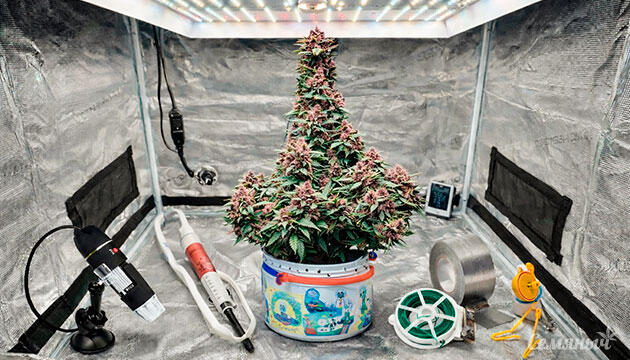 Инструменты против проблем в гровинге