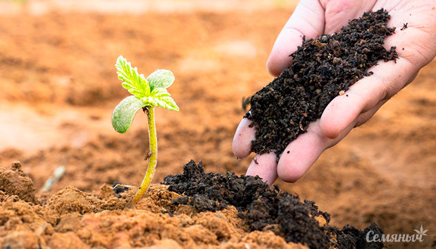 Улучшение урожайности с помощью органики