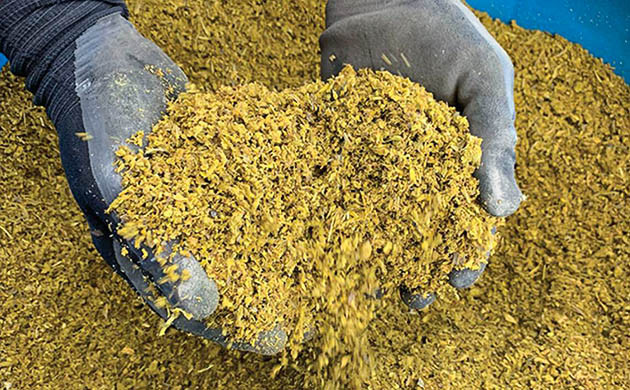 Мелкая стружка стеблей и ветвей каннабиса