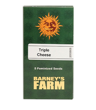 Triple Cheese fem (Barney's Farm)