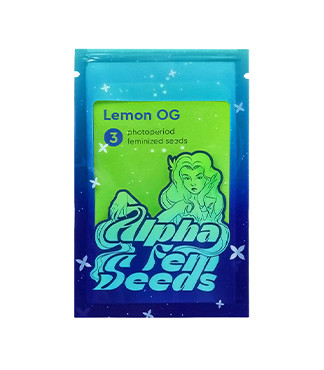 Lemon OG fem (AlphaFem Seeds)