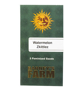 Watermelon Zkittlez fem (Barney's Farm)