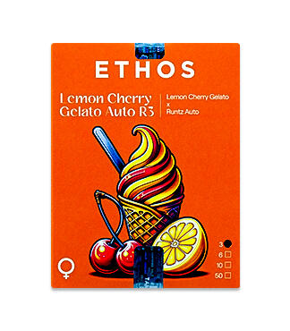 Lemon Cherry Gelato Auto R3 fem (Ethos Genetics)