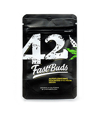 Gorilla Auto (Gorilla Glue Auto) fem (FastBuds)