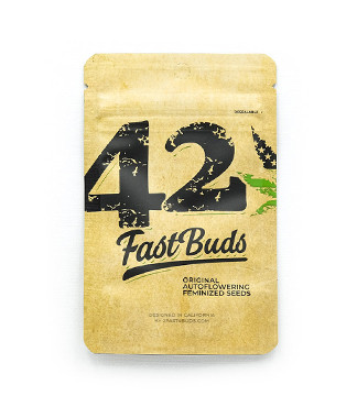 Original Auto Skunk fem (FastBuds)