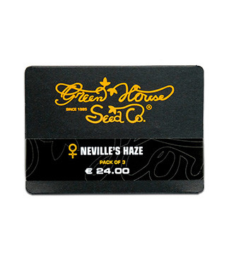 Neville's Haze fem (GHS)