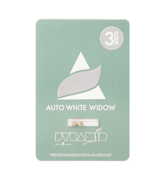 Auto White Widow fem (Pyramid Seeds)