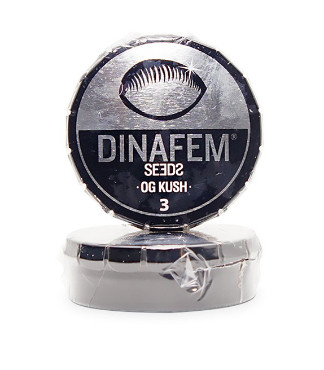 OG Kush fem (Dinafem Seeds)