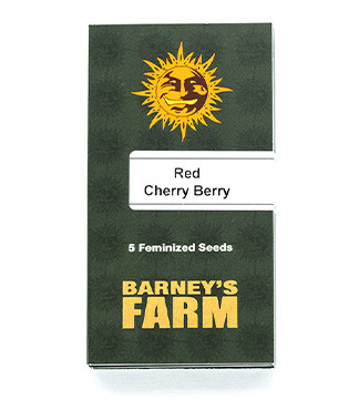 Red Cherry Berry fem (Barney's Farm)