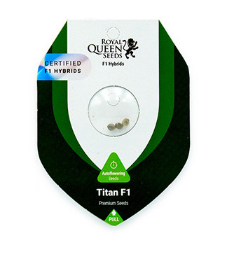 Titan F1 Auto fem (RQS)