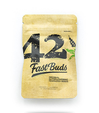 Original Auto Sour Diesel fem (FastBuds)