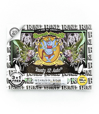 Runtz XL Auto fem (Sweet Seeds)