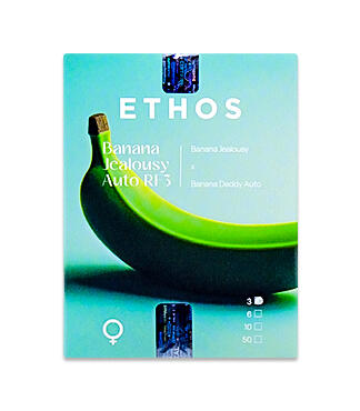 Banana Jealousy Auto RF3 fem (Ethos Genetics)