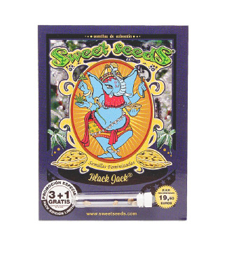 Black Jack fem (Sweet Seeds)