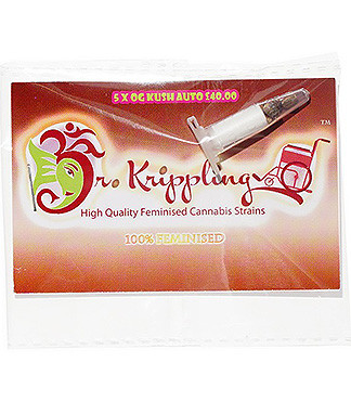 OG Kush Auto fem (Dr. Krippling Seeds)