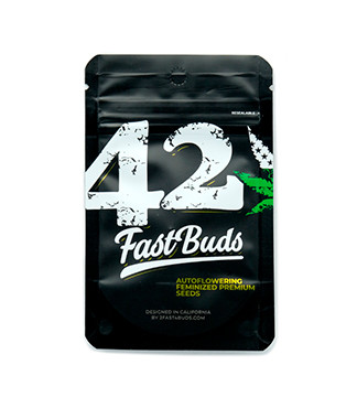 Cream Cookies Auto fem (FastBuds)