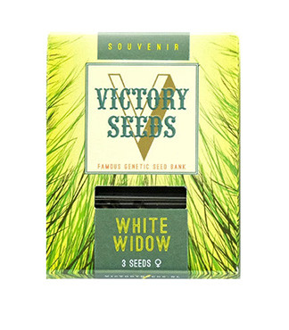 White Widow fem (Victory Seeds)