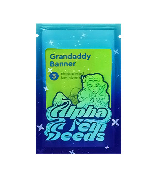 Grandaddy Banner fem (AlphaFem Seeds)