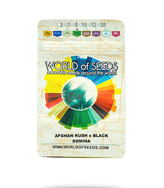 Afghan Kush X Black Domina fem (World of Seeds)