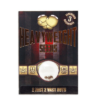 2 Fast 2 Vast Auto fem (Heavyweight Seeds)
