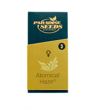 Atomical Haze fem (Paradise Seeds)