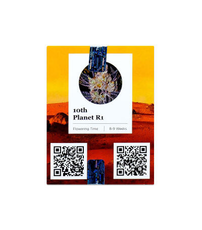 Семена сорта 10TH Planet R1 fem (Ethos Genetics)