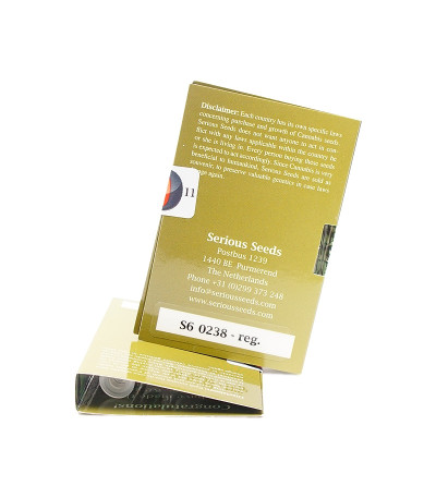 Семена сорта Serious 6 reg (Serious Seeds)
