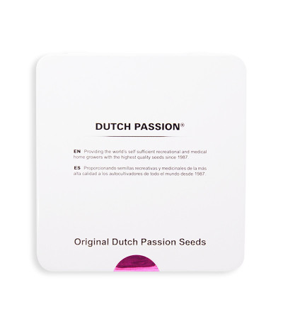 Семена сорта Auto Lemon Kix fem (Dutch Passion)