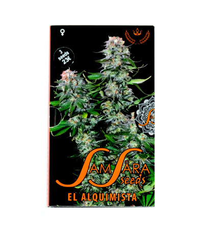 Семена сорта El Alquimista fem (Samsara Seeds)