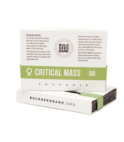 Семена сорта Critical Mass fem (Bulk Seed Bank)