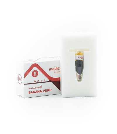 Семена сорта Banana Purp fem (Medical Seeds)