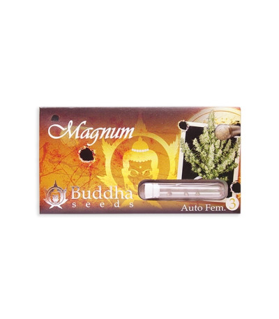 Семена сорта Buddha Magnum auto fem