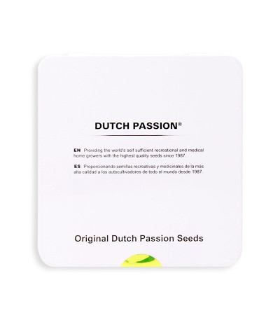 Семена сорта Power Plant fem (Dutch Passion)