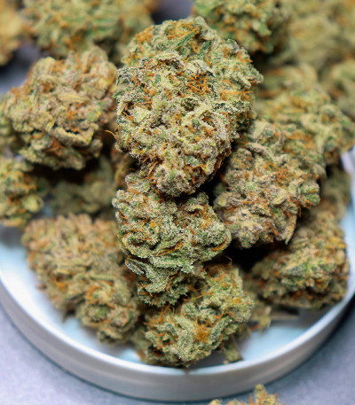 Семена сорта Banana Daddy Auto RBX2 fem (Ethos Genetics)