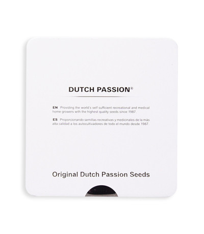 Семена сорта Euforia reg (Dutch Passion)