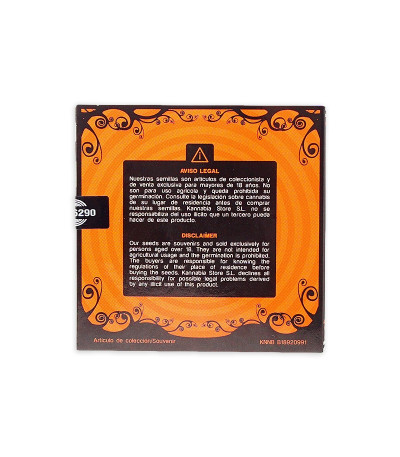 Семена сорта La Reina de Africa (Kaboom) fem